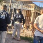 Atienden denuncia de maltrato animal en Nuevo Casas Grandes